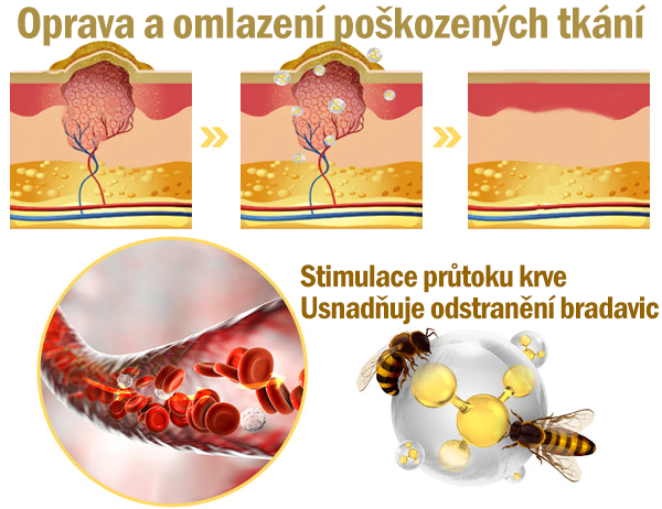 💥🎁 Zbývá už jen 5 krabic! Nabízíme dodatečnou slevu 50 %! Buďte fit a zdraví. Popadněte ji teď a další šanci budete mít až příští rok.